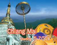 Summer Fly Summer Free Chaing mai