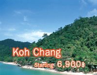 Summer Fly Summer Free Koh Chang