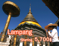 Summer Fly Summer Free Lampang