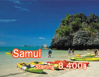 Summer Fly Summer Free Samui