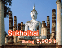 Summer Fly Summer Free Sukhothai