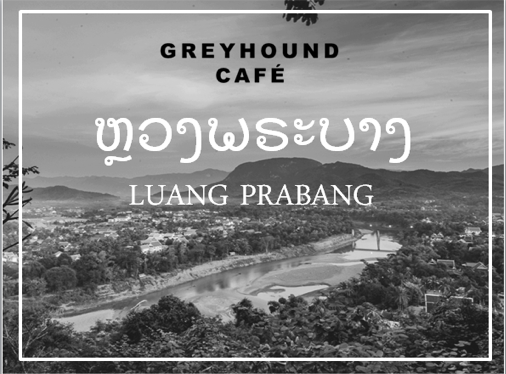 TRIP : GREYHOUND